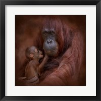 A Mother's Love Fine Art Print