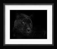 Green Eyed Beauty Fine Art Print