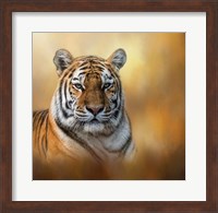 Tiger Queen Fine Art Print
