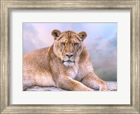 Soothing Rest Fine Art Print