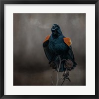 Bird Breath Fine Art Print