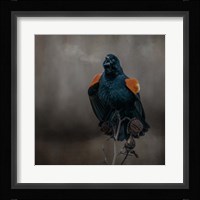 Bird Breath Fine Art Print