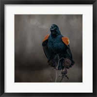 Bird Breath Fine Art Print