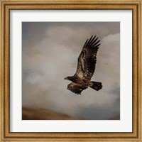 Morning Hunter Fine Art Print