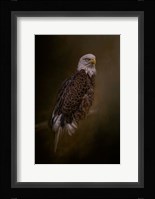 Silent Warrior Fine Art Print