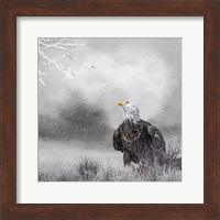 Winter Daydreaming Fine Art Print