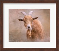 Goat Goodness Fine Art Print
