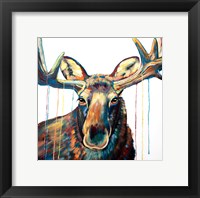 Moose Drip Fine Art Print