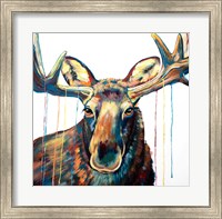 Moose Drip Fine Art Print
