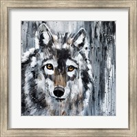 Golden Eye Wolf Fine Art Print