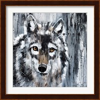 Golden Eye Wolf Fine Art Print