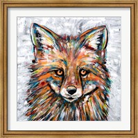 Fox of Many Colors Fine Art Print