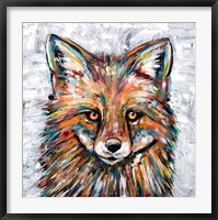 Fox of Many Colors Fine Art Print