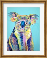 Koala Fine Art Print