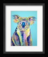 Koala Fine Art Print