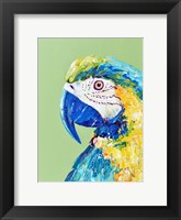 Macaw Parrot Fine Art Print