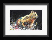 Bear Bath Fine Art Print