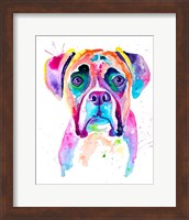 Colorful Boxer Fine Art Print