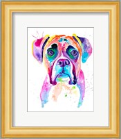 Colorful Boxer Fine Art Print