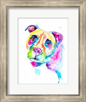 Colorful Pitbull Fine Art Print