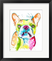 Colorful Frenchie Fine Art Print
