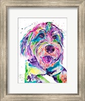 Colorful Bernedoodle Fine Art Print