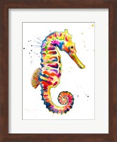 Sea Horse Fine Art Print