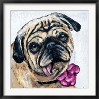 Miss Molly the Pug Fine Art Print