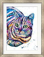 Colorful Tabby Cat Fine Art Print