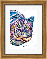 Colorful Tabby Cat Fine Art Print