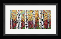 Aspens in Color Fine Art Print