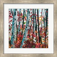 Autumn Radiance Fine Art Print