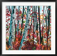 Autumn Radiance Fine Art Print