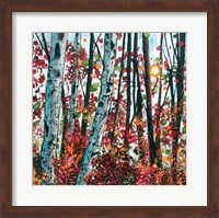 Autumn Radiance Fine Art Print