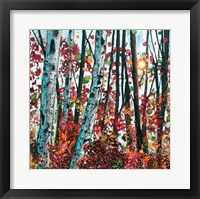 Autumn Radiance Fine Art Print