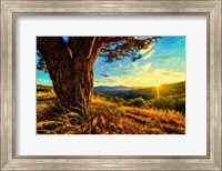Gnarled Tree at Sunset Fine Art Print