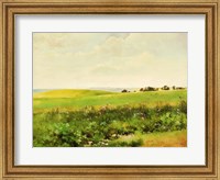 Summer Lands Fine Art Print