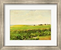 Summer Lands Fine Art Print