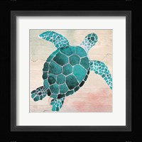 Sea Turtle Framed Print