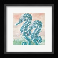 Sea Horses Framed Print