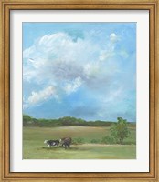 Cow Pasture Fine Art Print