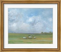 Sheep Pasture Fine Art Print