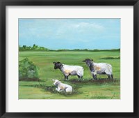 Sheep Trio Fine Art Print