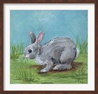 Gray Bunny Fine Art Print