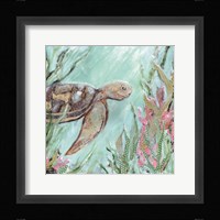 A Sea Turtle in Sunlight Fine Art Print