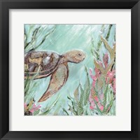 A Sea Turtle in Sunlight Fine Art Print