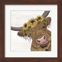 Sunflower Highland Fine Art Print