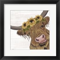 Sunflower Highland Fine Art Print