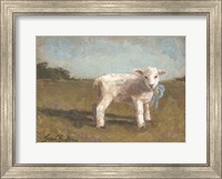 Little Lamb III Fine Art Print
