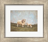 Sheep in the Pasture I Fine Art Print